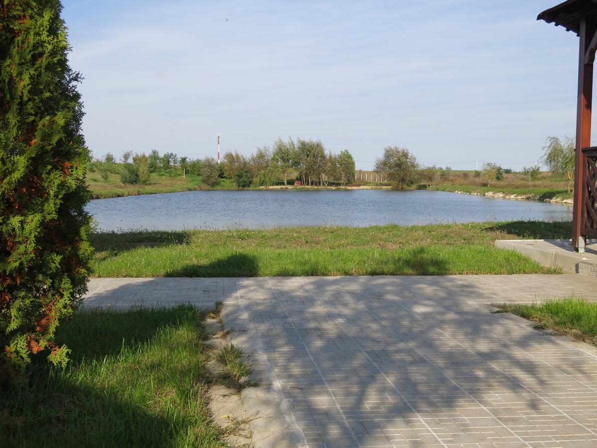 Conacul De Pe Lac Sagu 外观 照片